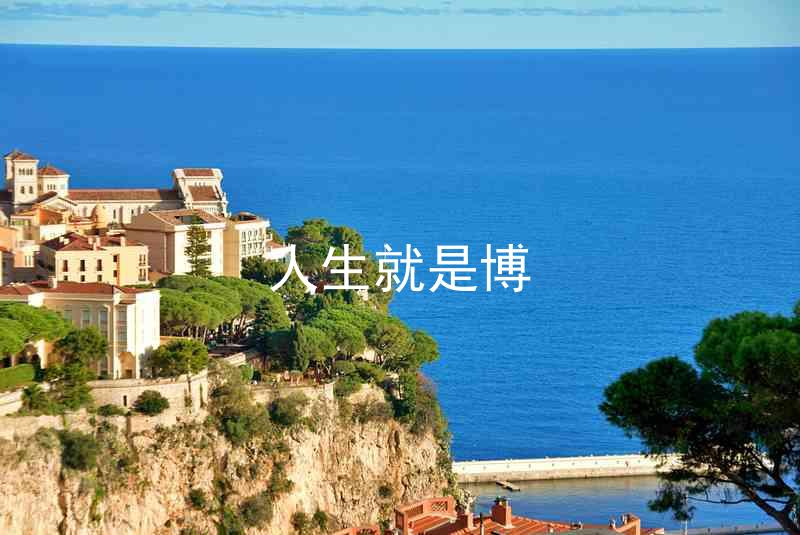人生就是博