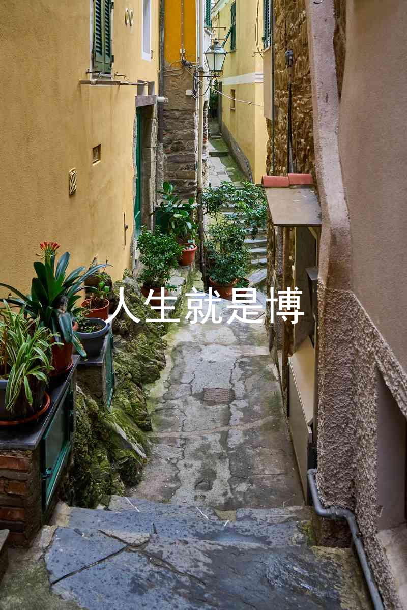 人生就是博